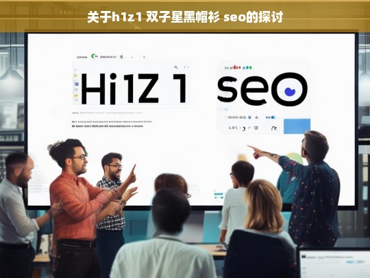 关于h1z1 双子星黑帽衫 seo的探讨，H1Z1 双子星黑帽衫 SEO 探讨