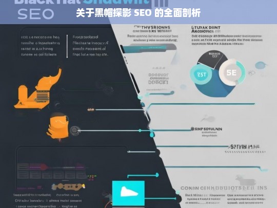 关于黑帽探影 SEO 的全面剖析，黑帽探影 SEO 全面剖析