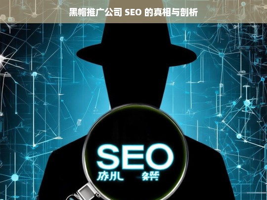 黑帽推广公司 SEO 的真相与剖析，黑帽推广公司 SEO 的真相剖析