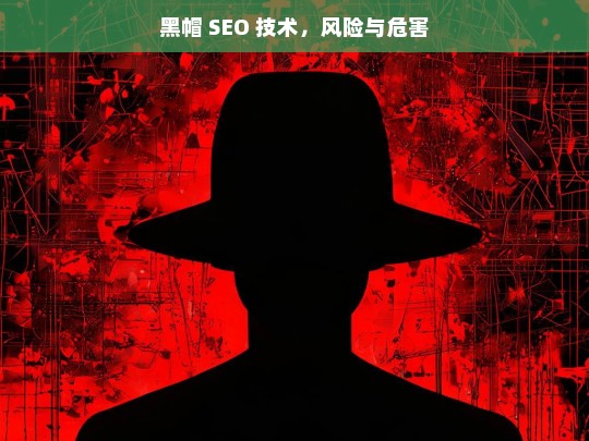 黑帽 SEO 技术，风险与危害，黑帽 SEO 技术的风险与危害剖析