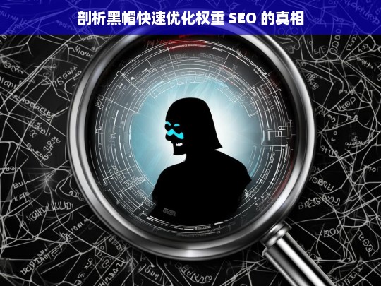 剖析黑帽快速优化权重 SEO 的真相，黑帽快速优化权重 SEO 的真相剖析