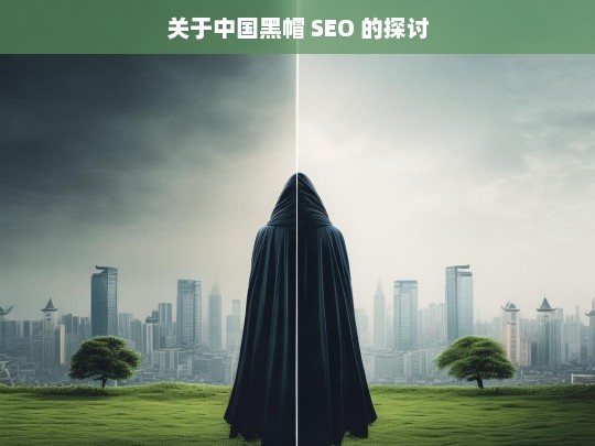 关于中国黑帽 SEO 的探讨，中国黑帽 SEO 之探讨