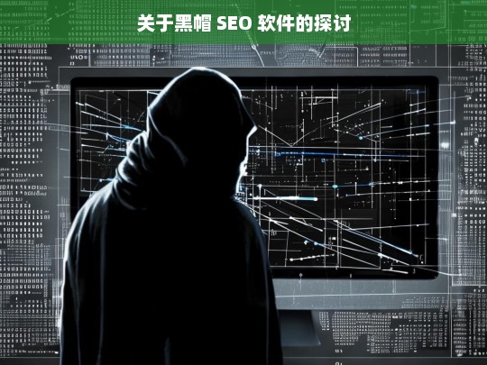 关于黑帽 SEO 软件的探讨，黑帽 SEO 软件探讨