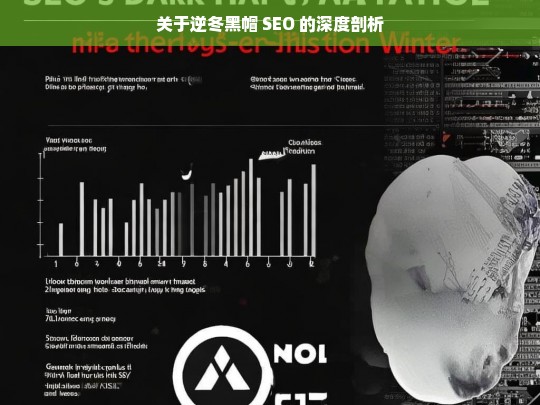 关于逆冬黑帽 SEO 的深度剖析，逆冬黑帽 SEO 深度剖析