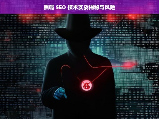 黑帽 SEO 技术实战揭秘与风险，黑帽 SEO 技术，实战、揭秘与风险剖析