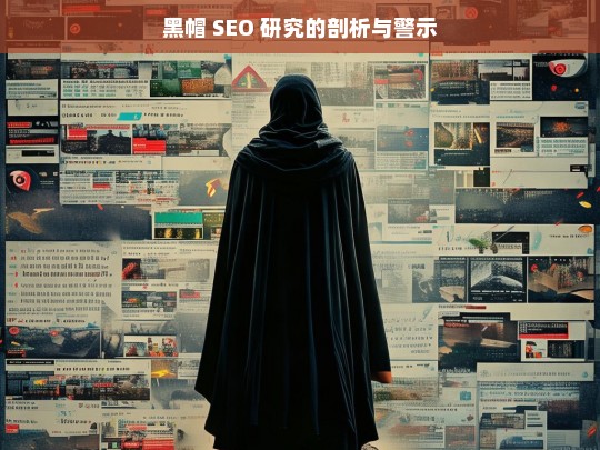 黑帽 SEO 研究的剖析与警示，黑帽 SEO 研究，剖析与警示