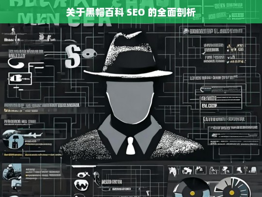 关于黑帽百科 SEO 的全面剖析，黑帽百科 SEO 全面剖析