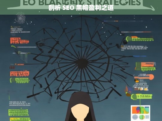 剖析 SEO 黑帽盈利之道，剖析 SEO 黑帽盈利模式