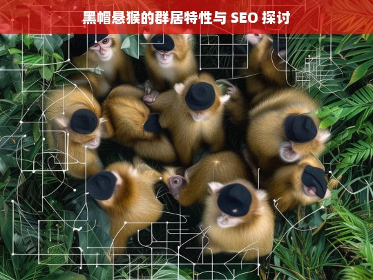 黑帽悬猴的群居特性与 SEO 探讨，黑帽悬猴群居特性与 SEO 的关联探讨