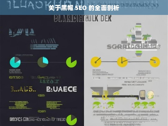 关于黑帽 SEO 的全面剖析，黑帽 SEO 全面剖析