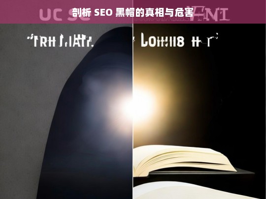 剖析 SEO 黑帽的真相与危害，SEO 黑帽，真相与危害剖析