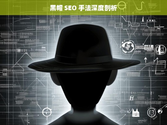 黑帽 SEO 手法深度剖析，黑帽 SEO 手法深度剖析