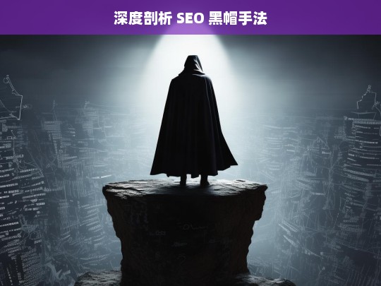 深度剖析 SEO 黑帽手法，深度剖析 SEO 黑帽手法揭秘