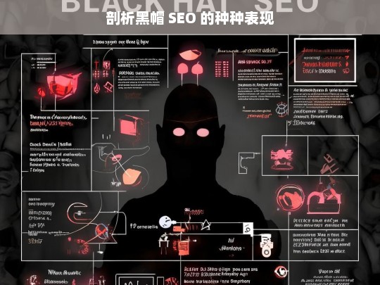 剖析黑帽 SEO 的种种表现，黑帽 SEO 的表现剖析