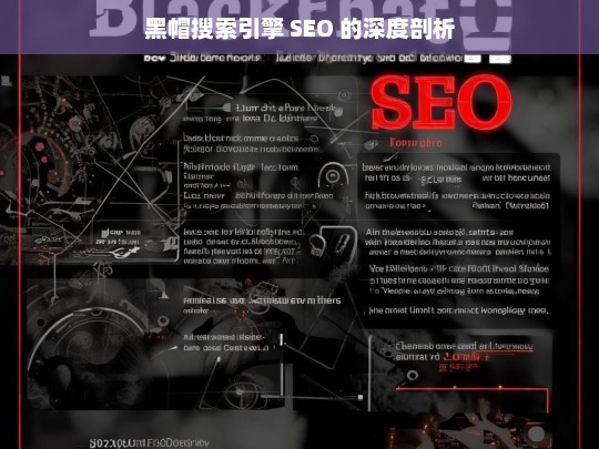 黑帽搜索引擎 SEO 的深度剖析，黑帽搜索引擎 SEO 深度剖析