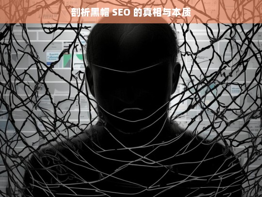 剖析黑帽 SEO 的真相与本质，黑帽 SEO 的真相与本质剖析