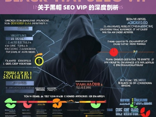 关于黑帽 SEO VIP 的深度剖析，黑帽 SEO VIP 深度剖析