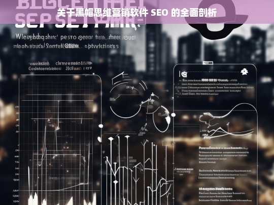 关于黑帽思维营销软件 SEO 的全面剖析，黑帽思维营销软件 SEO 全面剖析