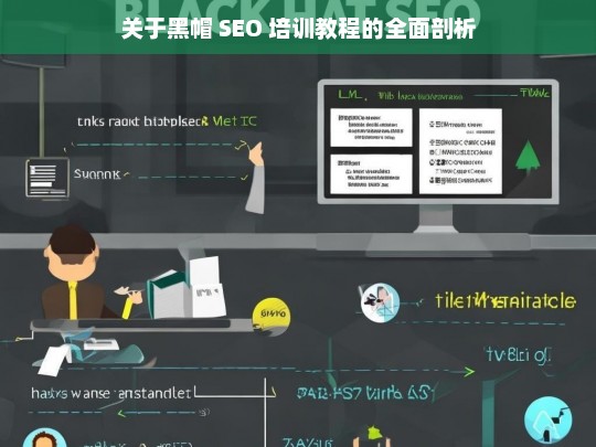 关于黑帽 SEO 培训教程的全面剖析，黑帽 SEO 培训教程剖析