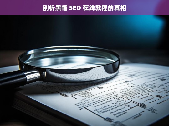 剖析黑帽 SEO 在线教程的真相，黑帽 SEO 在线教程真相剖析