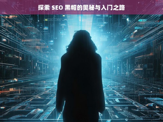 探索 SEO 黑帽的奥秘与入门之路，探索 SEO 黑帽的奥秘与入门