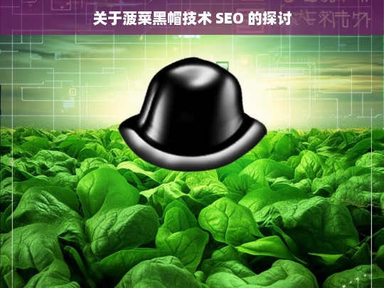 关于菠菜黑帽技术 SEO 的探讨，菠菜黑帽技术 SEO 探讨