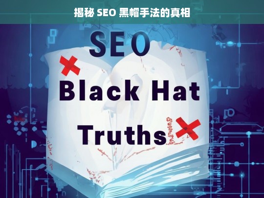 揭秘 SEO 黑帽手法的真相，SEO 黑帽手法真相大揭秘