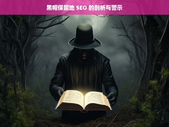 黑帽保留地 SEO 的剖析与警示，黑帽保留地 SEO，剖析与警示