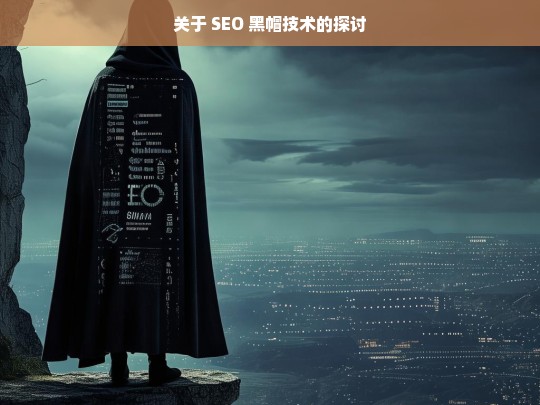 关于 SEO 黑帽技术的探讨，SEO 黑帽技术探讨