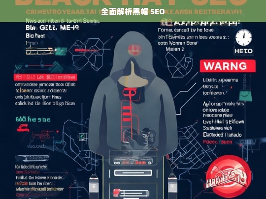 全面解析黑帽 SEO，黑帽 SEO 全面解读