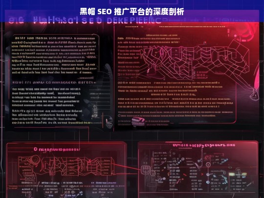 黑帽 SEO 推广平台的深度剖析，黑帽 SEO 推广平台剖析