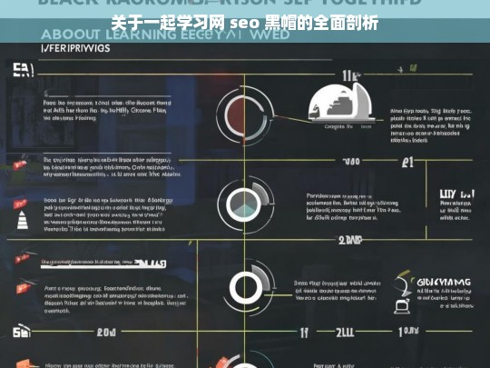 关于一起学习网 seo 黑帽的全面剖析，一起学习网 SEO 黑帽剖析