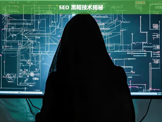 SEO 黑帽技术揭秘，SEO 黑帽技术大揭秘