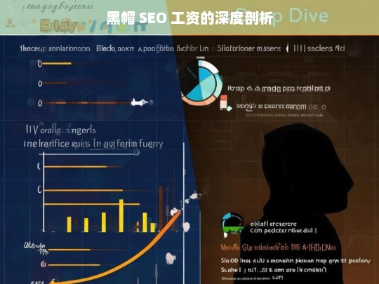 黑帽 SEO 工资的深度剖析，黑帽 SEO 工资剖析