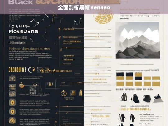 全面剖析黑帽 senseo，黑帽 senseo 全面剖析