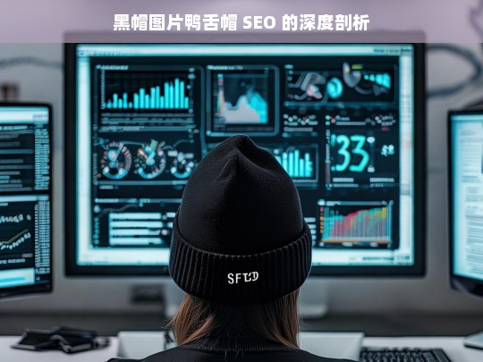 黑帽图片鸭舌帽 SEO 的深度剖析，黑帽图片鸭舌帽 SEO 剖析