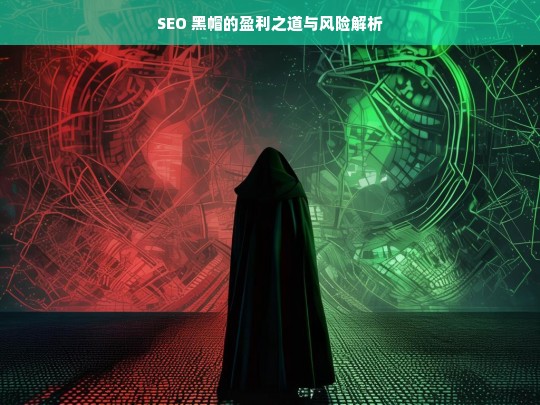 SEO 黑帽的盈利之道与风险解析，SEO 黑帽，盈利之道与风险剖析