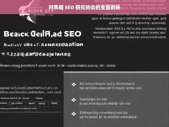 对黑帽 SEO 研究协会的全面剖析，黑帽 SEO 研究协会剖析