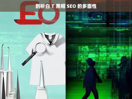 剖析白 T 黑帽 SEO 的多面性，白 T 黑帽 SEO 的多面剖析