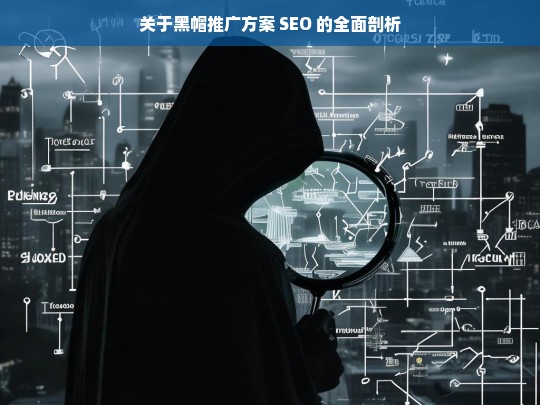 关于黑帽推广方案 SEO 的全面剖析，黑帽推广方案 SEO 全面剖析