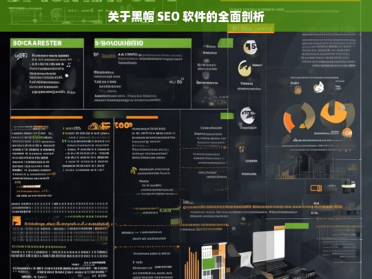 关于黑帽 SEO 软件的全面剖析，黑帽 SEO 软件剖析