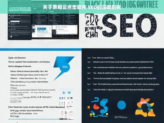 关于黑帽云点击软件 SEO的深度剖析，黑帽云点击软件 SEO 深度剖析