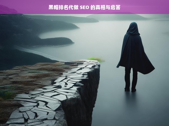 黑帽排名代做 SEO 的真相与危害，黑帽排名代做 SEO 的真相及危害揭秘