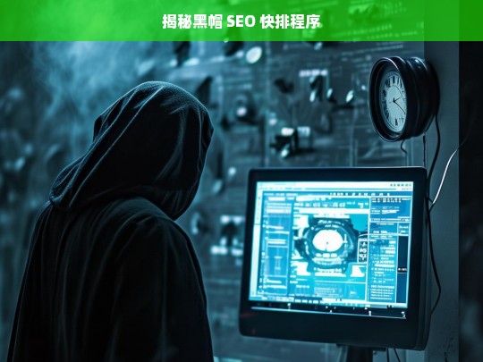 揭秘黑帽 SEO 快排程序，揭秘黑帽 SEO 快排程序真相