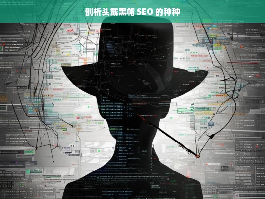 剖析头戴黑帽 SEO 的种种，剖析头戴黑帽 SEO 现象