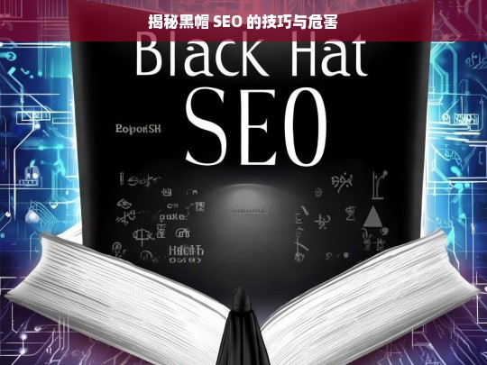 揭秘黑帽 SEO 的技巧与危害，黑帽 SEO，技巧与危害大揭秘