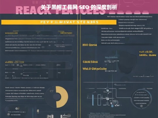 关于黑帽工具网 SEO 的深度剖析，黑帽工具网 SEO 的深度剖析探讨