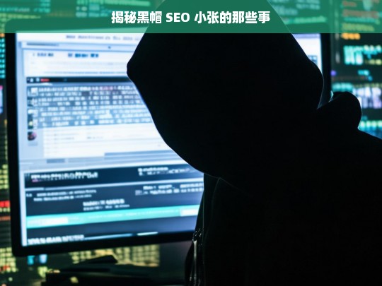 揭秘黑帽 SEO 小张的那些事，揭秘黑帽 SEO 小张的背后故事