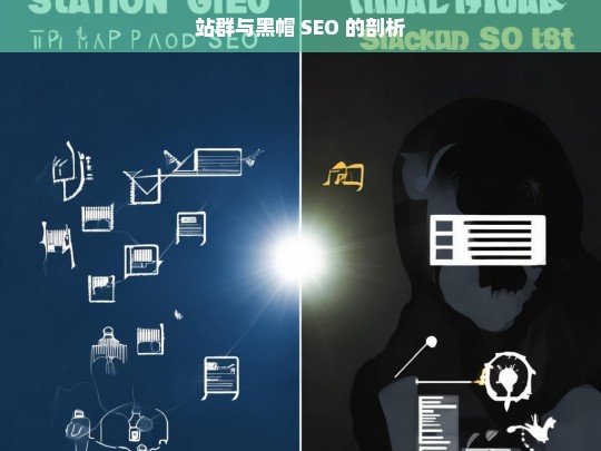 站群与黑帽 SEO 的剖析，站群与黑帽 SEO 解析