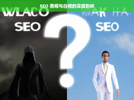 SEO 黑帽与白帽的深度剖析，SEO 黑帽与白帽的深度解读